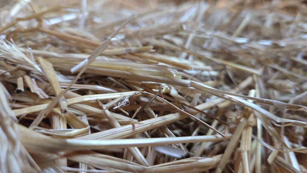 Here's a closeup of that needle. Not a cropped image - I stepped closer to it and snapped this picture.
