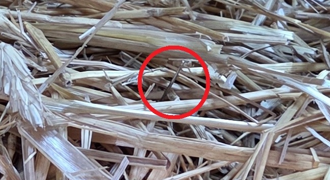 The real needle is in the middle of that red circle. I put it there with my hands, not with any software or AI model.