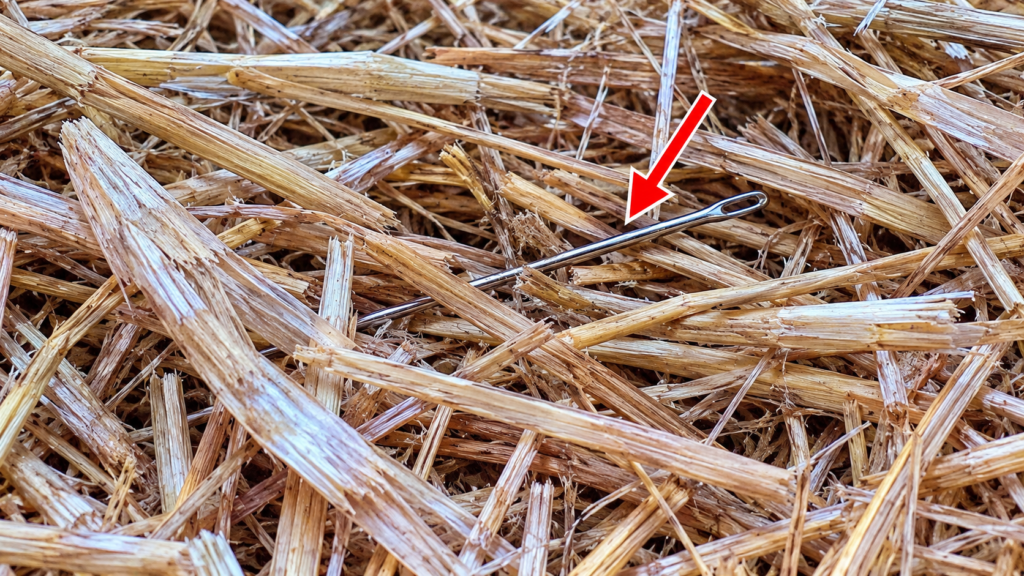 CpatGPT also invented this needle. I would call it a liar if it were human. "Hallucinated" is too polite.