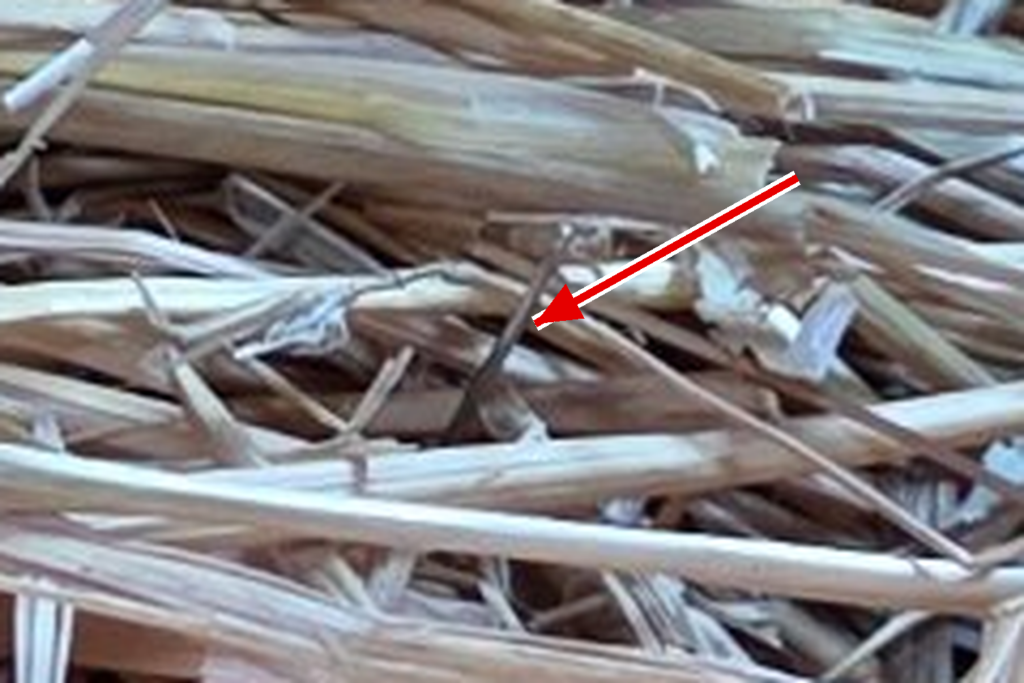Claude found the real needle in a haystack, but was cautious about it.
